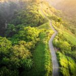 Campuhan Ridge Walk ubud bali