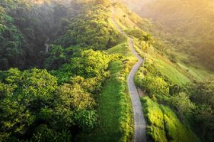 Campuhan Ridge Walk ubud bali